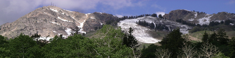 Snowbasin Mtns by Dixie Munsee